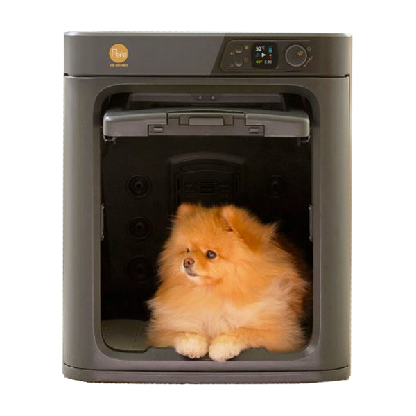 페페 업그레이드 펫드라이룸