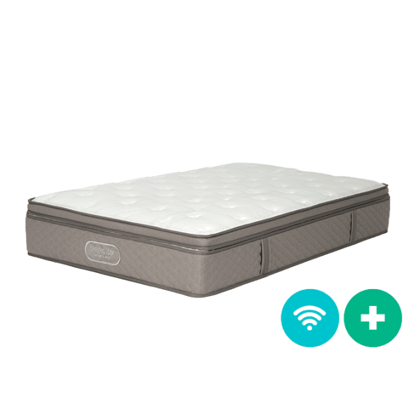 웰스 스프링에어 네이처 퀸