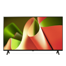 LG 올레드 TV B4 163cm(65인치) TV