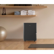 LG 휘센 상업용 대용량 제습기 35L