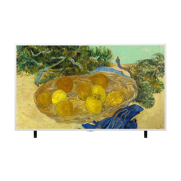 LG 갤러리 TV AI 163cm TV